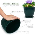 Vodotion - Plant Pots Indoor with Saucers & Drainage - 6 Pack Flower Pots - Plastic Planters for Indoor Planter - 7.5/6.6/5.8/5.0/4.3/3.5 inches Sizes for All Different Types of Plants-Dark Green