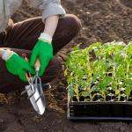 Patioer Garden Shovel Hand Trowel Cast-Aluminum Heavy Duty Mini Shovel Garden Tools Soft TPR Non-Slip Handle Potting Tools for Planting, Transplanting, Weeding, Digging Soil (12 Pack)