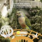 Bird Feeder with Camera,AI Identify Birds Species,Solar Powered,Auto Record Videos in Backyard,Instant Notifications,Ideal Gift for Family and Bird Lovers (Orange)