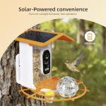 Bird Feeder with Camera,AI Identify Birds Species,Solar Powered,Auto Record Videos in Backyard,Instant Notifications,Ideal Gift for Family and Bird Lovers (Orange)
