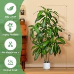 5FT Artificial Dracaena Tree – 6-Head Design, Full Lush Leaves, Realistic Faux Indoor Floor Plant for Home & Office Decor, Tall Artificial Plant for Living Room, Bedroom, Apartment,