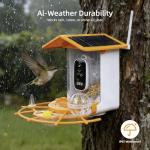 Bird Feeder with Camera,AI Identify Birds Species,Solar Powered,Auto Record Videos in Backyard,Instant Notifications,Ideal Gift for Family and Bird Lovers (Orange)
