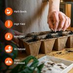 Open Seed Vault 4,000 Non GMO Heirloom Vegetable Seeds for Planting Vegetables and Fruits - 12 Variety Pack of Herb Seeds for Planting Outdoors - Gardening Supplies, Survival Gear, Prepper Kits