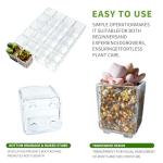 QCSMBFL 24 pcs Mini Clear Plastic Planter with Box, 2.8cm/1.1in with Drainage Hole & Bottom Support. Mini Succulent Nursery Pots for Roots Viewing, Home Potting, DIY, Office/Window Sill Decor