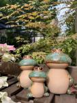 KSZNZB Frog Garden Decor Set of 3,Funny Cute Ceramic Frog Garden Statues Yard Decoration Outdoor Holiday Decorations,Ideal Ornament for Outside Pond Pool Patio Front Porch Backyard (Green)