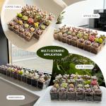 QCSMBFL 24 pcs Mini Clear Plastic Planter with Box, 2.8cm/1.1in with Drainage Hole & Bottom Support. Mini Succulent Nursery Pots for Roots Viewing, Home Potting, DIY, Office/Window Sill Decor