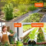 Open Seed Vault 4,000 Non GMO Heirloom Vegetable Seeds for Planting Vegetables and Fruits - 12 Variety Pack of Herb Seeds for Planting Outdoors - Gardening Supplies, Survival Gear, Prepper Kits