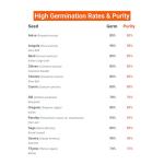 Open Seed Vault 4,000 Non GMO Heirloom Vegetable Seeds for Planting Vegetables and Fruits - 12 Variety Pack of Herb Seeds for Planting Outdoors - Gardening Supplies, Survival Gear, Prepper Kits