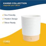 Golden Pothos Live Plant in Modern Planter