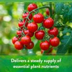 Down To Earth All Natural Fertilizers Organic Multi Purpose Mix 4-6-2, 5 lb