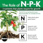 Miracle-Gro All-Purpose Plant Food Starter Kit