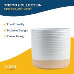 Majesty Palm Live Plant in Modern Decor Planter