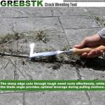 Stainless Steel Crack Weeder with Beech Handle