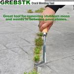 Stainless Steel Crack Weeder with Beech Handle