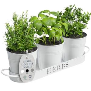 White Metal Herb Planters with Tray for Indoors Outdoors