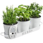 White Metal Herb Planters with Tray for Indoors Outdoors
