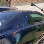 Green Mount 40.6 cm Watering Wand with 8 Patterns