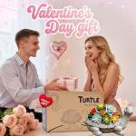 Turtle Solar Garden Statue with Succulent and Lights