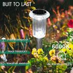 10 Waterproof Solar Lights for Pathways and Gardens