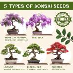 AVERGO Bonsai Tree Kit – Grow 5 Unique Varieties