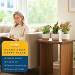 Costa Farms Indoor Air Purifying Plant Trio
