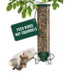 Droll Yankees Squirrel-Proof Bird Feeder in Green