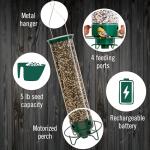 Droll Yankees Squirrel-Proof Bird Feeder in Green