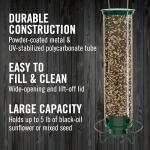 Droll Yankees Squirrel-Proof Bird Feeder in Green