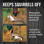 Droll Yankees Squirrel-Proof Bird Feeder in Green