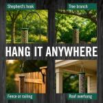 Droll Yankees Squirrel-Proof Bird Feeder in Green