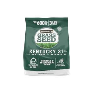 Kentucky 31 Tall Fescue Grass Seed 3 lbs