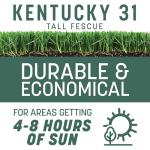 Kentucky 31 Tall Fescue Grass Seed 3 lbs