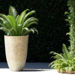 Set of 2 Tall Round 9 Gallon Planters