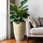 Set of 2 Tall Round 9 Gallon Planters