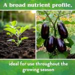 Organic 4-4-4 Vegetable Garden Fertilizer, 5lb