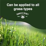 Farmer’s Secret Greenup Fertilizer (32oz) - Super Concentrated and Fast Acting - High Nitrogen Fertilizer Plus Sugar for Fast Shot of Green for All Types of Lawns and Turfs