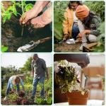 LeMotech Garden Tool Set, 2Pcs Gardening Hand Tools, Stainless Steel Trowel and Cultivator with Handle, Outdoor Gardening Kit for Women Men