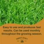 Farmer’s Secret Greenup Fertilizer (32oz) - Super Concentrated and Fast Acting - High Nitrogen Fertilizer Plus Sugar for Fast Shot of Green for All Types of Lawns and Turfs