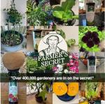 Farmer’s Secret Greenup Fertilizer (32oz) - Super Concentrated and Fast Acting - High Nitrogen Fertilizer Plus Sugar for Fast Shot of Green for All Types of Lawns and Turfs