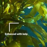 Superthrive Hydrogarden Plant Nutrient Solution - 1 Pint