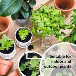 Superthrive Hydrogarden Plant Nutrient Solution - 1 Pint