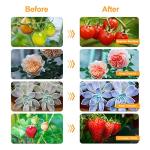 bseah Grow Light Plant Lights for Indoor Plants, Full Spectrum Plant Grow Lamp, 10 Dimmable Levels, Auto ON & Off with 3/9/12H Timer