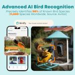 Netvue Smart Bird Feeder with Camera