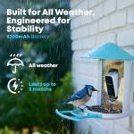 Netvue Smart Bird Feeder with Camera