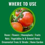 NATRIA Neem Oil Spray for Plants, Ready-to-Use, 1 Gal