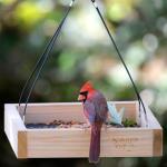 Cedar Wood Bird Feeding Station by Nature's Way