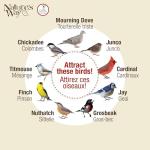 Cedar Wood Bird Feeding Station by Nature's Way