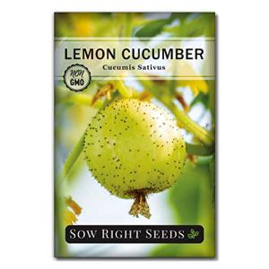 Sow Right Seeds - Lemon Cucumber Seeds for Planting - Non-GMO Heirloom Seeds with Instructions to Plant and Grow a Home Vegetable Garden - Unique Round Variety with Melon Flavor for Outdoors (1)