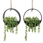 CEWOR 2pcs Artificial Hanging Succulent Plants, Fake String of Pearls in Pot with Lanyard Boho Wall Decor for Bathroom Living Room Home Indoor Outdoor Decorations, Black