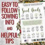 Seed Needs Zinnia Seeds California Giants Variety | 5,000+ Heirloom Seeds Zinnia Elegans Open Pollinated | Prolific Large Multicolor Blooms Makes a Great Cut Flower | Bulk